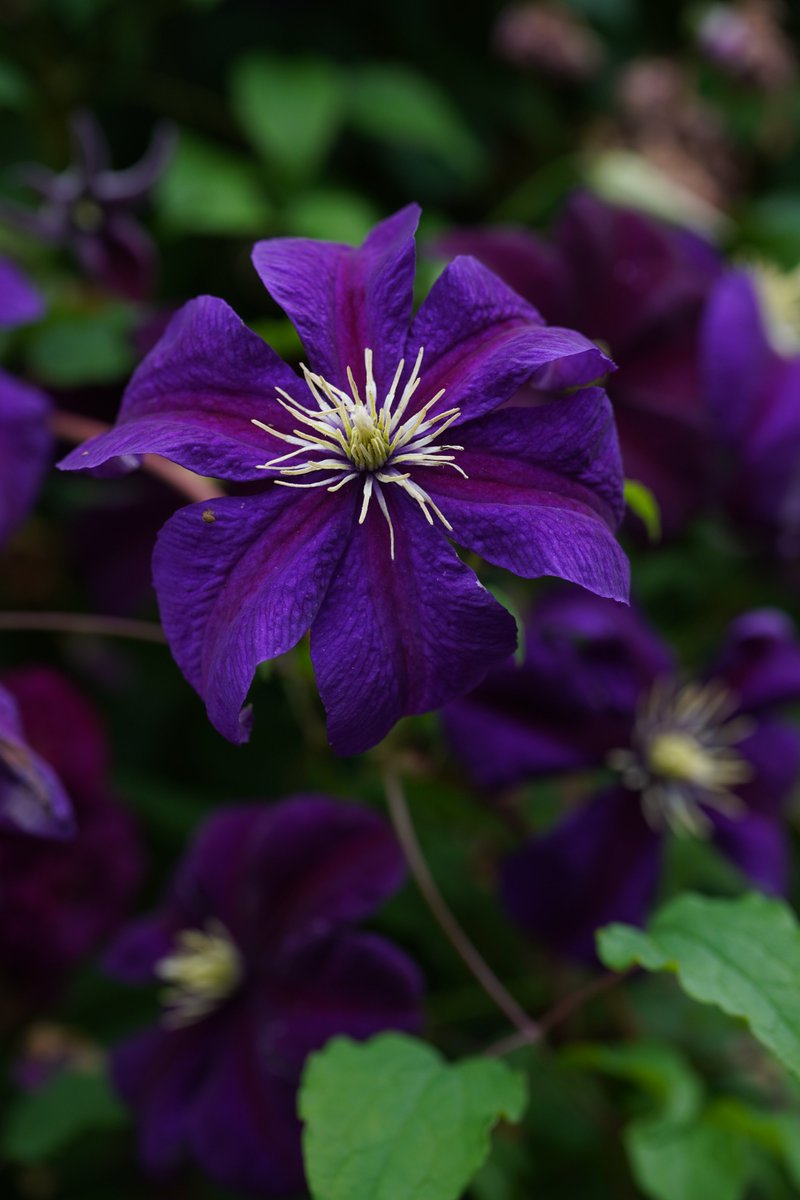 jerritama🐈🐟🐈 (@jerritama) on Twitter photo 