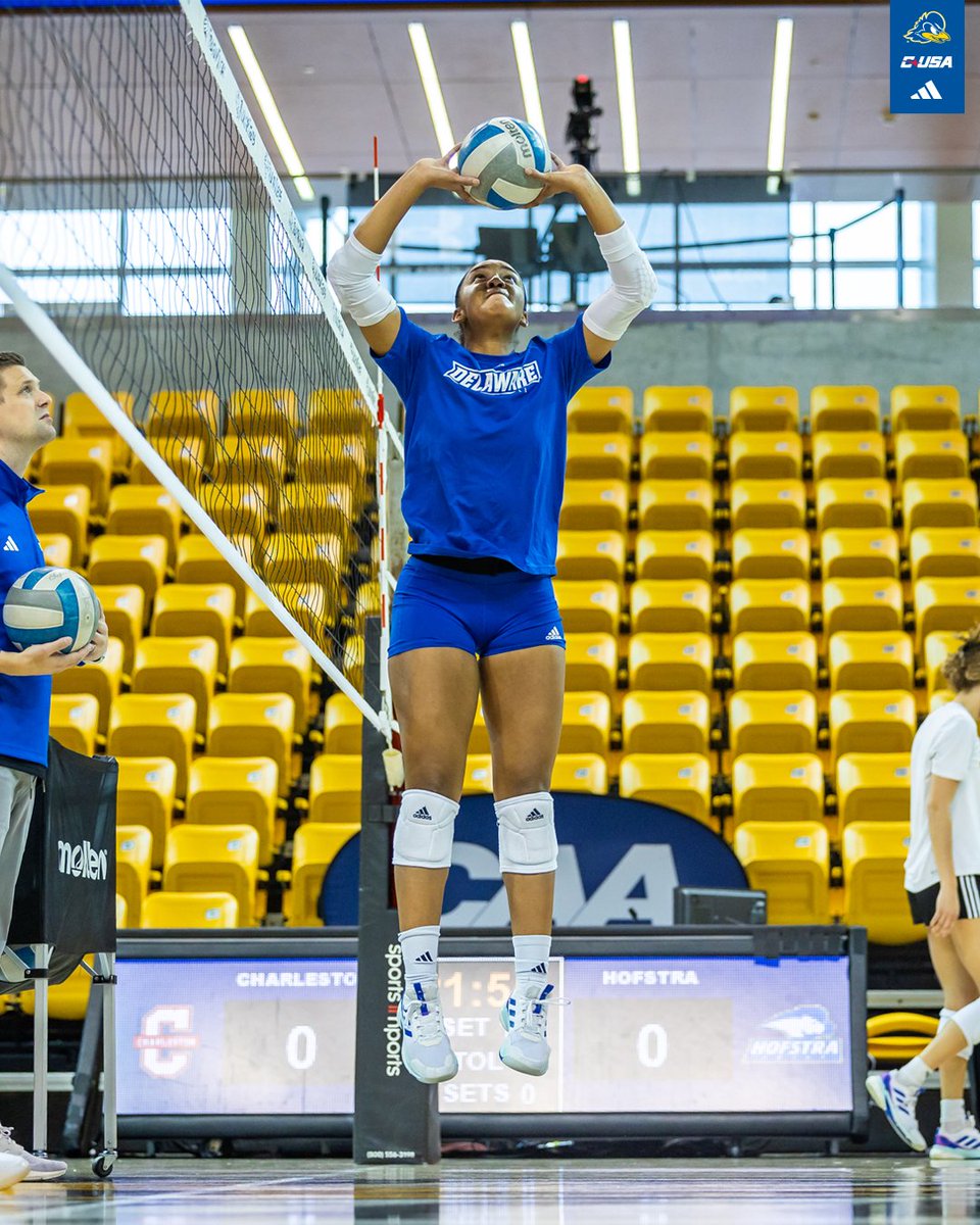 Delaware Volleyball tweet media