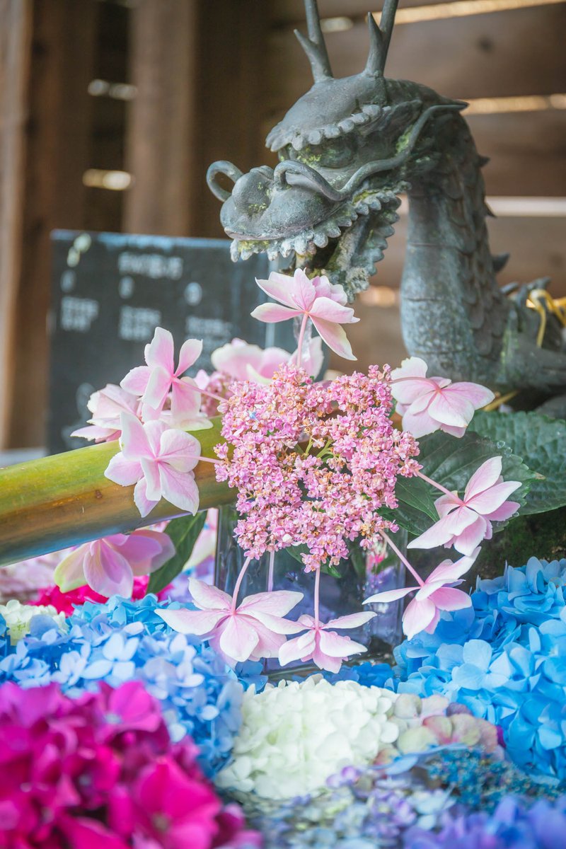 今日は何をしようかな