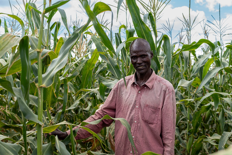 Hear the impact of Conservation agriculture program in Turkana, “I am so glad I am part of the 50 World Renew beneficiaries on this farming project.The effort we have put as a group has led to this farm that everyone admires as they pass because our maize looks healthy”