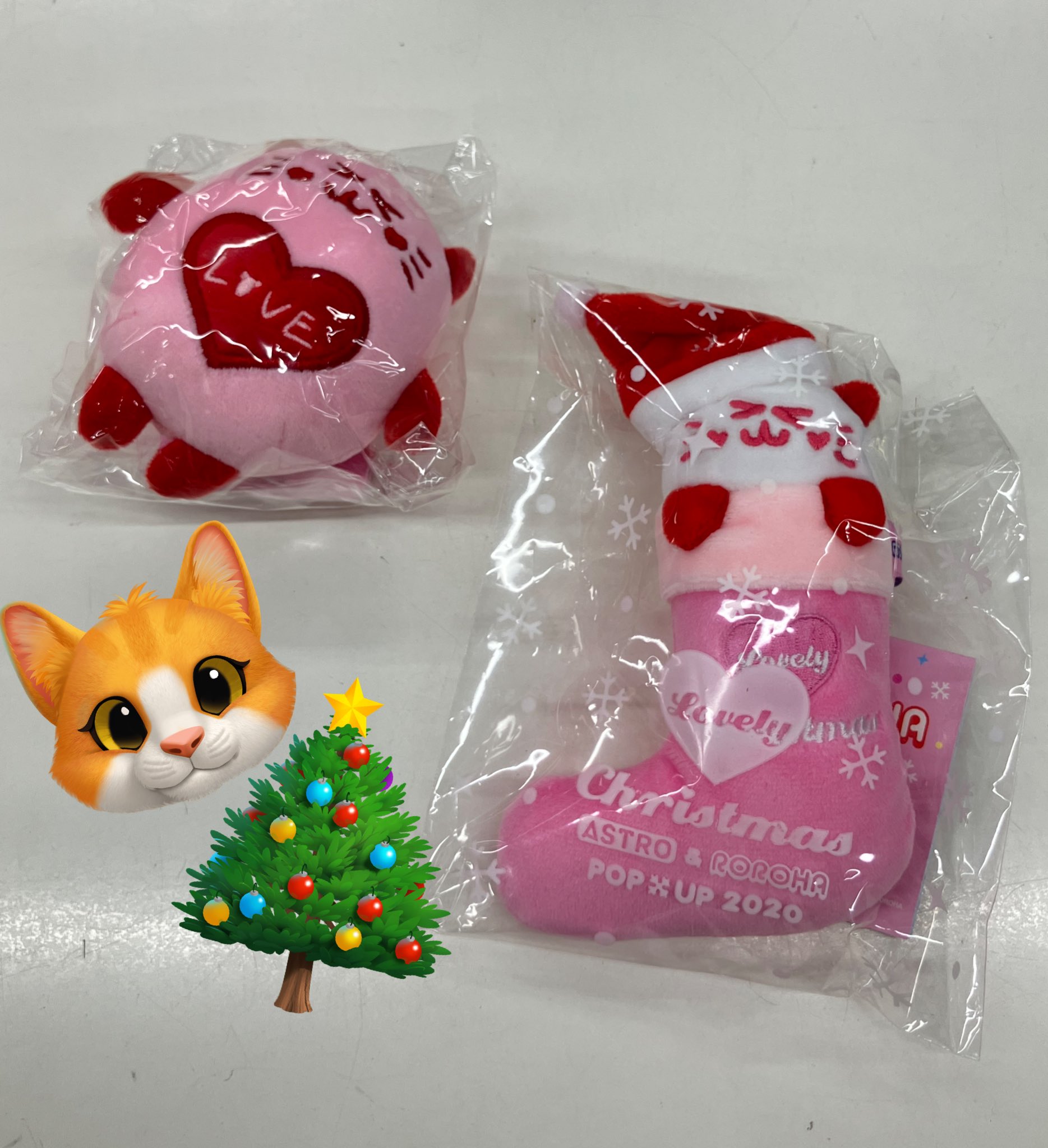 ASTRO ROROHA ニャンニャ ムンビン ぬいぐるみキーホルダー
