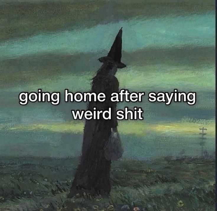 wildtiktokss's tweet image. 