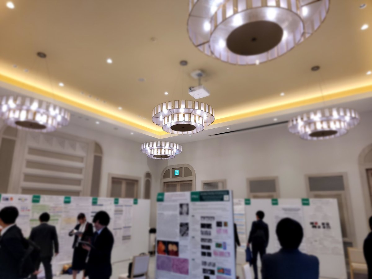 JSHBPS2025 第37回日本肝胆膵外科学会学術集会 tweet media