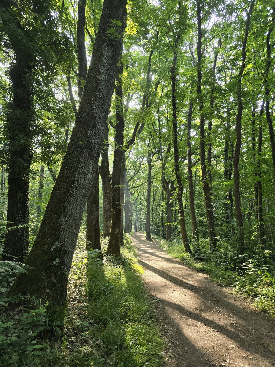 Bonjour, très beau week-end