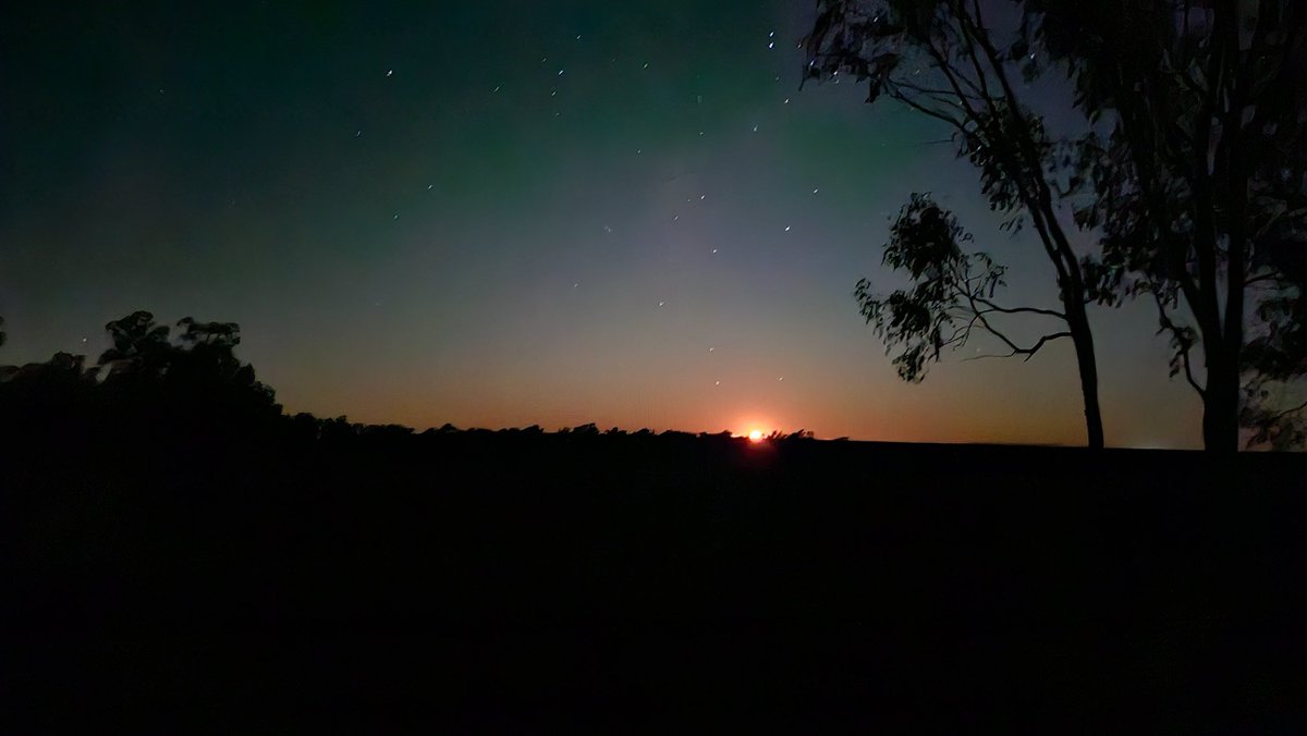 FactFirstNet's tweet image. Beauty