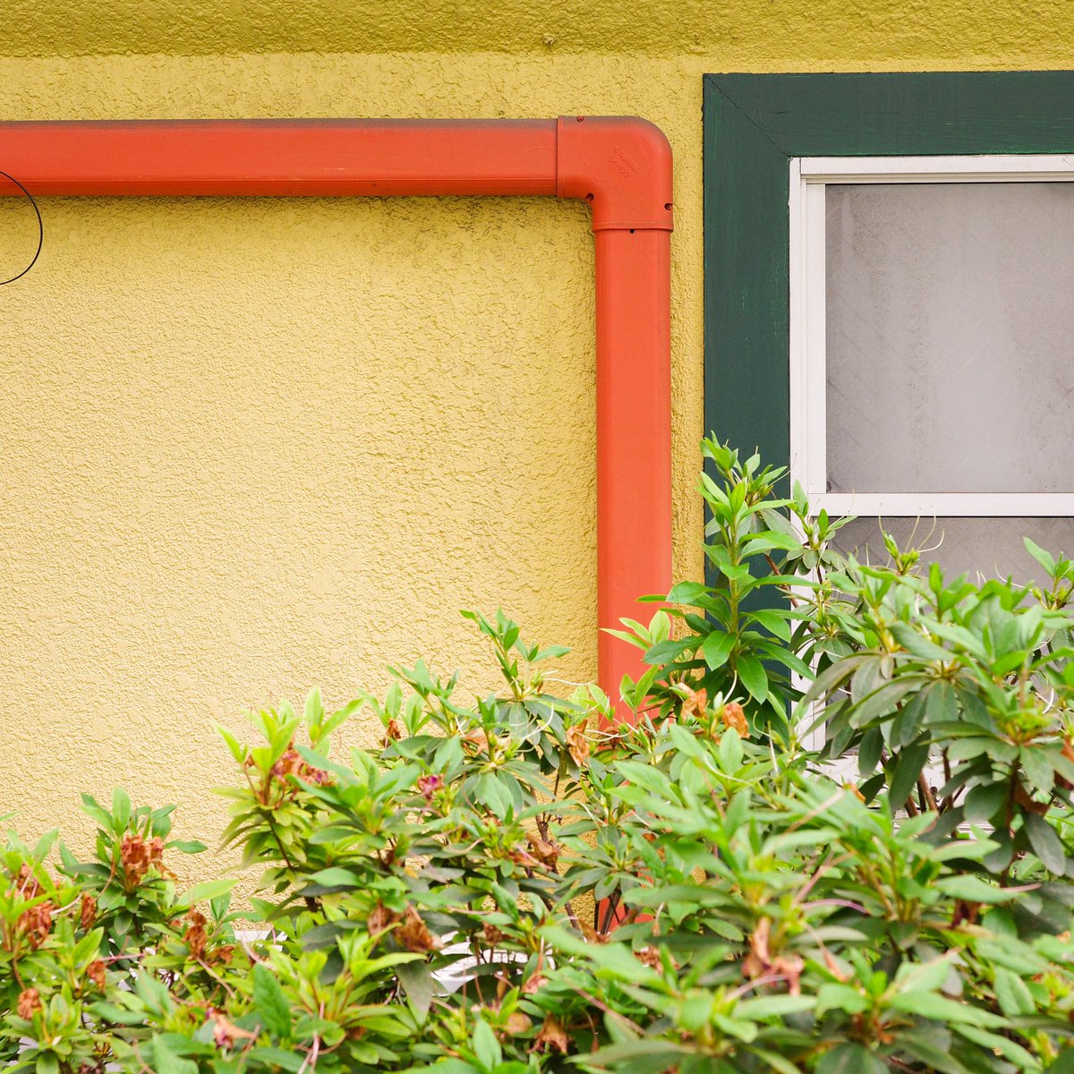 naotake_speaks's tweet image. #緑黄色 #greenandyellow #東京 #tokyo #streetphotography #grsnaps
#gr_meet_japan
#shootgr
#gr3x