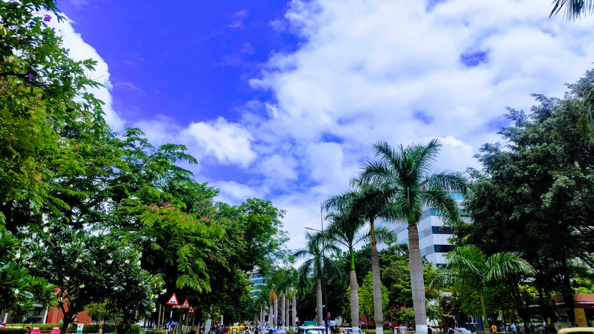 tomar_anjalii's tweet image. Coding in the clouds, walking under the palms....♥