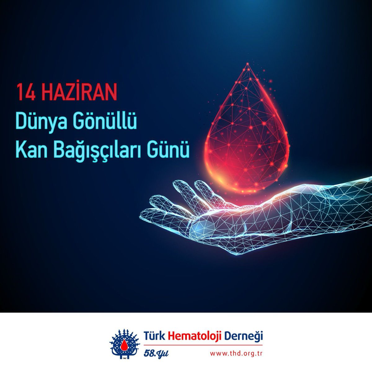 Bugün 14 Haziran “Dünya Gönüllü Kan Bağışçıları Günü”🩸