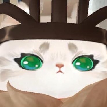 （  เดินอุ้มแมวตัวเองทำหน้าจ๋องๆ  มามองฟ้าอยู่ข้างๆ  ）