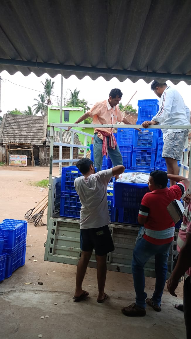 ORMAS, Angul tweet media