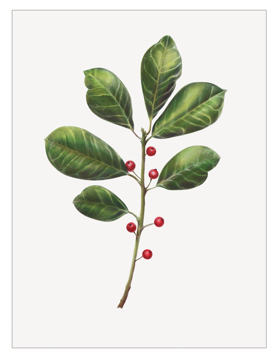 FathomFangs tweet media