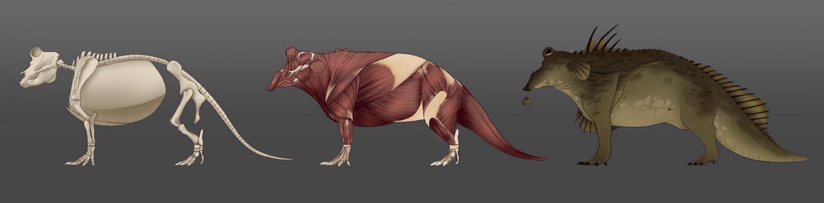 FathomFangs tweet media