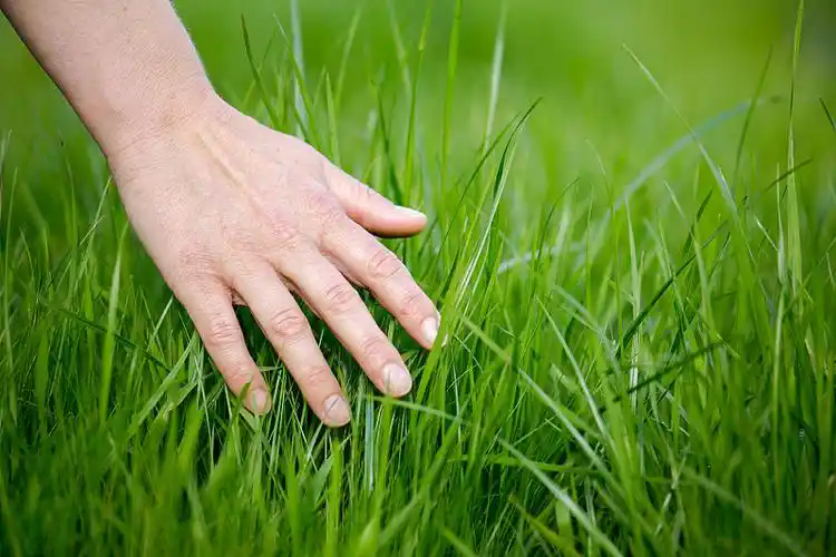 yan66039540's tweet photo. openseatouchgrass  Good! https://t.co/RtrcjhR9fy