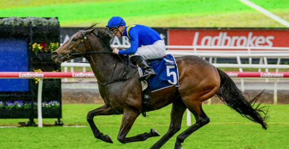 Don’t normally post 2nd’s but when one of my favourites NEW ENDEAVOUR (New Bay) <a href="/GaiWaterhouse1/">Gai Waterhouse AO</a>  goes down a cigarette paper in G2 Q22 it reminds me he cost £260 k <a href="/Goffs1866/">Goffs</a> London &amp; has won his Aussie owners over $1m despite defeats by a nose in G1 G2 and G3 races! #goodhorse