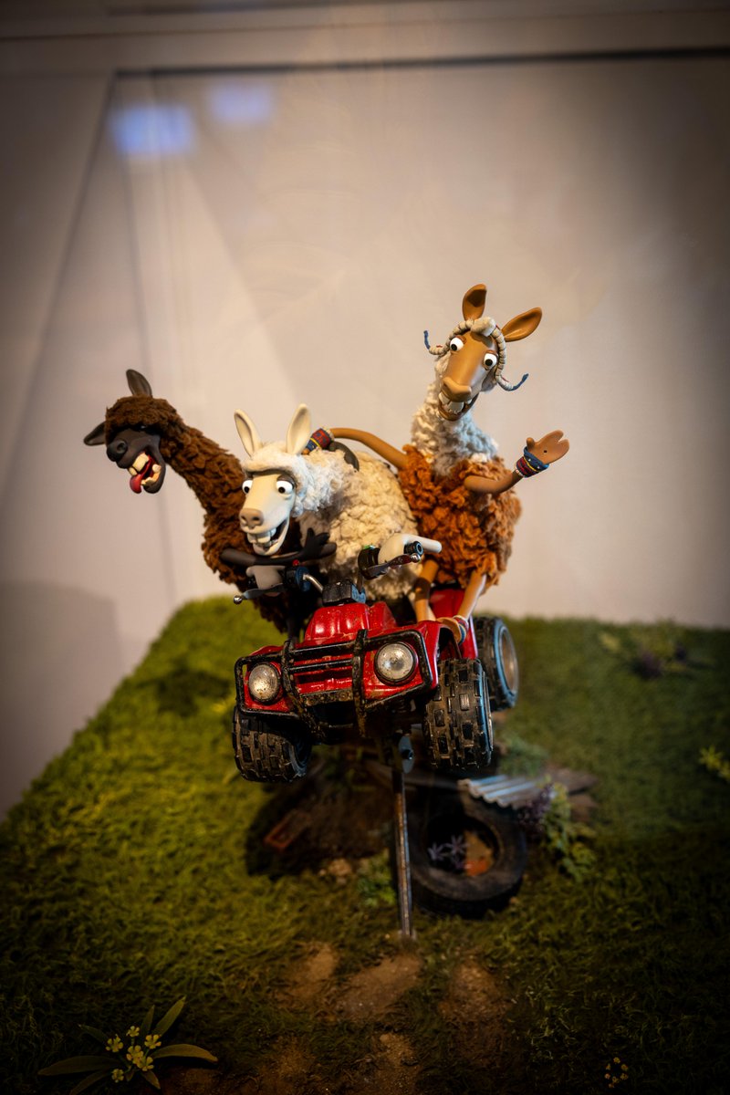 Adam Harrison tweet media