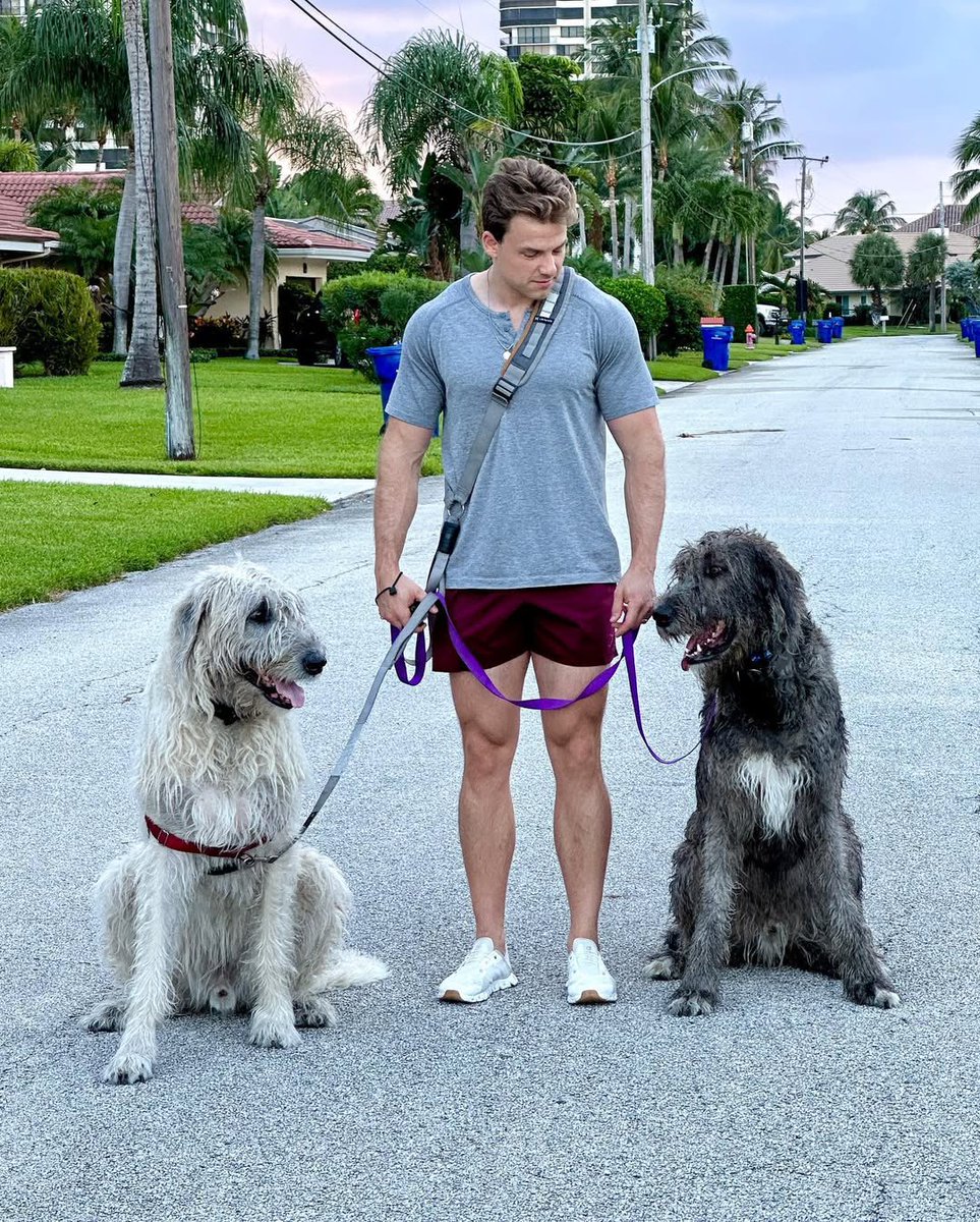 Mikeanders9462's tweet image. Pals ❤️