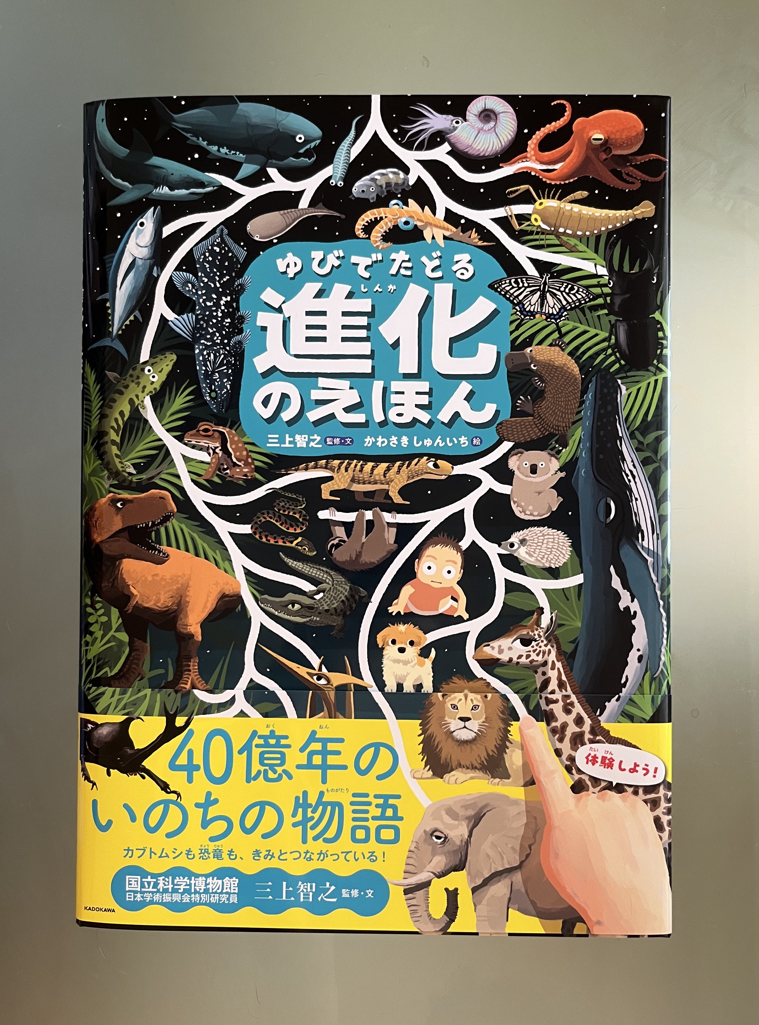 西瓜との友好的な関係についての考察 版画作品1/1 絵画 芸術