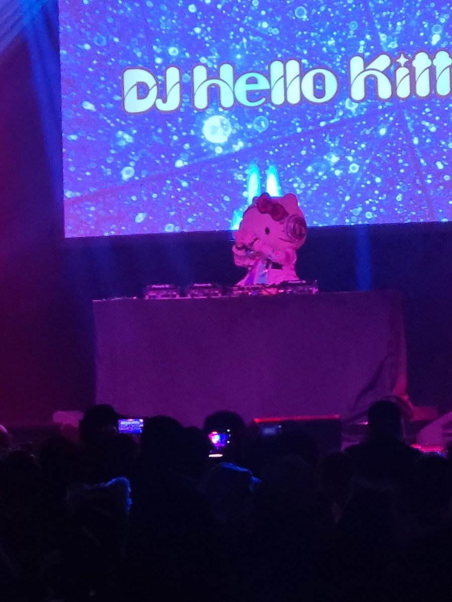 DJ HELLO KITTY IS MAKING THE CROWD JUMP!!!!!!

#TokyoCityLights2025