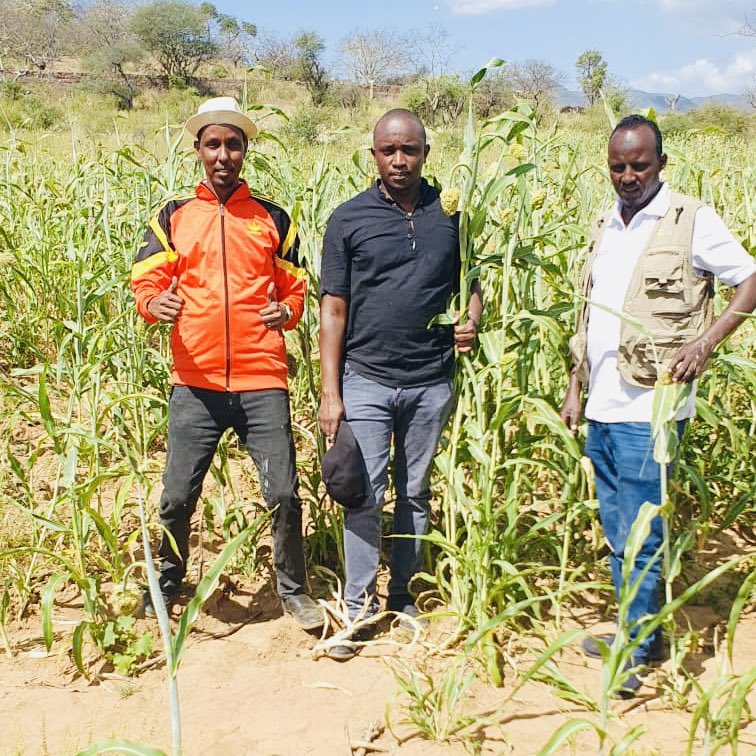 RACIDA (@racidaofficial) on Twitter photo 🌾 Farmers in Addey & Sora, Dheka Suftu, are now harvesting big—thriving sorghum & maize crops thanks to recent seeds distribution by RACIDA through support from <a href="/BMZ_Bund/">Bundesentwicklungsministerium</a> <a href="/diakoniekh/">Diakonie Katastrophenhilfe</a> & <a href="/BROT_furdiewelt/">Brot für die Welt</a> !
A joint visit by RACIDA & Deka Suftu district officials showed the power 🌾 Farmers in Addey & Sora, Dheka Suftu, are now harvesting big—thriving sorghum & maize crops thanks to recent seeds distribution by RACIDA through support from <a href="/BMZ_Bund/">Bundesentwicklungsministerium</a> <a href="/diakoniekh/">Diakonie Katastrophenhilfe</a> & <a href="/BROT_furdiewelt/">Brot für die Welt</a> !
A joint visit by RACIDA & Deka Suftu district officials showed the power