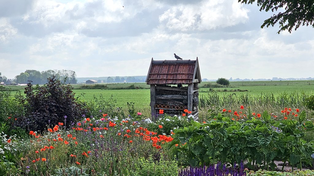 Motormiss's tweet photo. Ook na de open dagen is @DuylsBos te bezoeken. Vrijdag t/m zondag tussen 11 en 16 u ben je welkom om o.a. te komen genieten van deze mooie vlindertuin. Toegang is gratis. Kijk eens op https://t.co/tme2RaSPOC
#vlindertuin #zomerbloemen #fleurig #komkijken #zoveeltezien #natuurlijk https://t.co/jSwOTWNab9