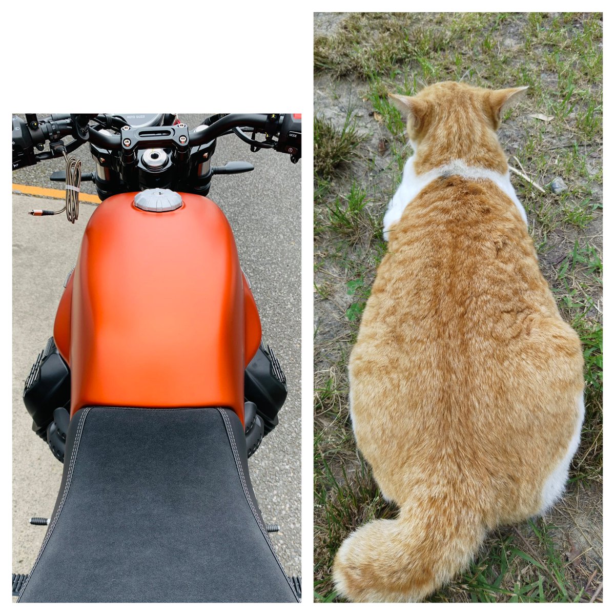 セローム (@hiro0921) on Twitter photo 