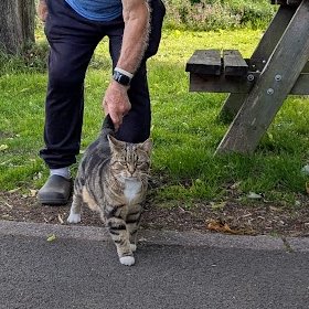 (Amanda) I love the early mornings. As soon as I hear Colin's car I rush outside to see him. Of course, he always makes a fuss of me before we go into the veranda for breakfast.
Betty says it's our 'routine' but I've never heard that word before. I suppose she's right, isn't she?
