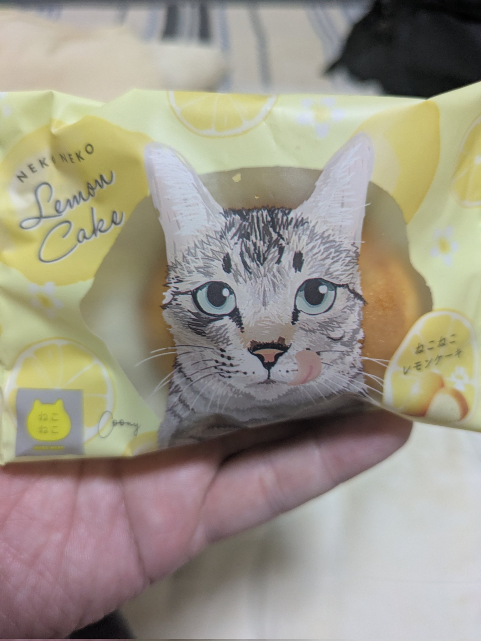 ねこねこレモンケーキ - Search / X