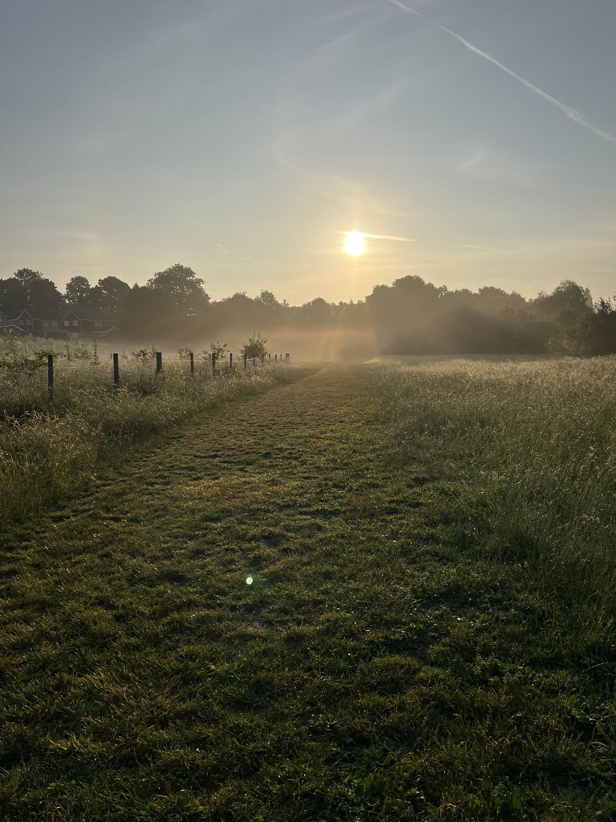 Princess Skyla over 16 now still enjoying her walks. Precious times 💕