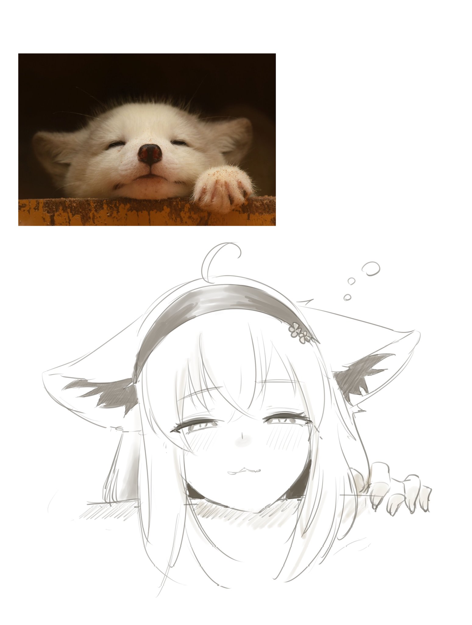 狛犬わらび🐾🍡 (@mochimochi_kemo) / X