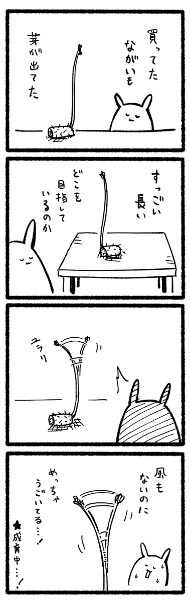 久々の日記です 