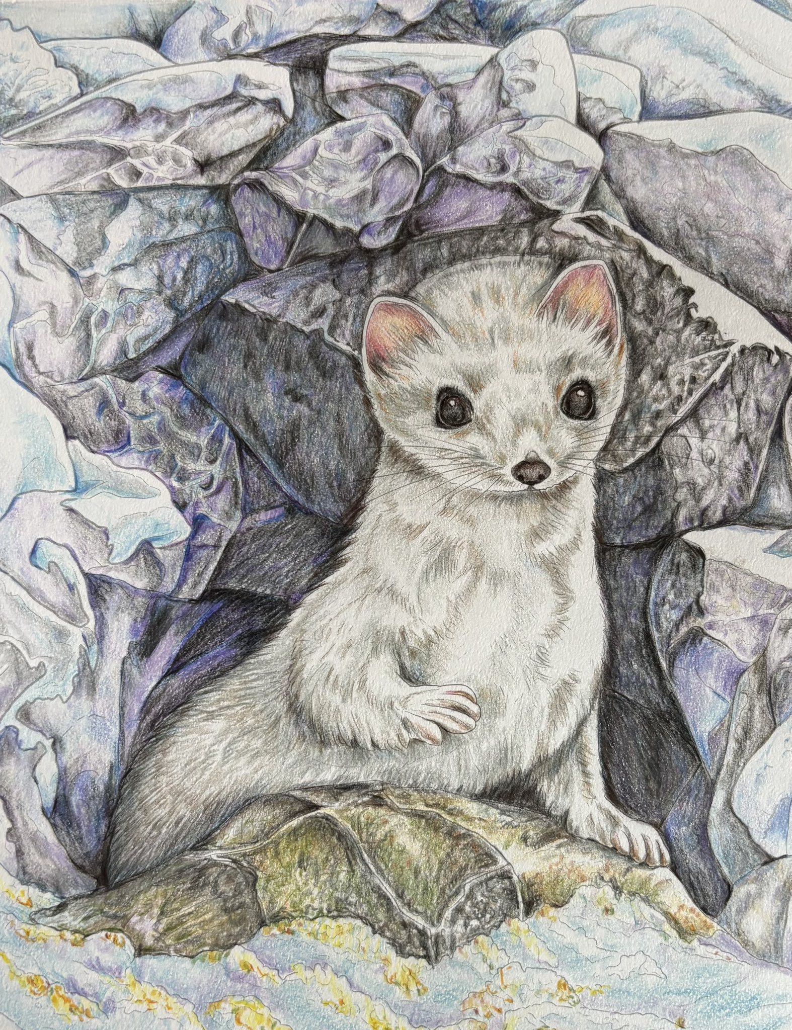 色鉛筆画 『伊太地山伝兵衛さん』