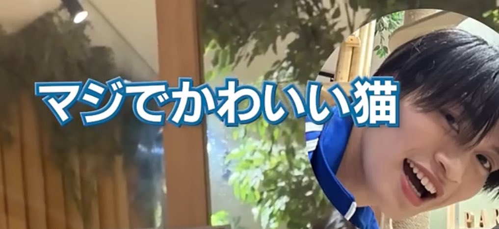 やばい最高企画来ましたおしまいです

ACEes official【どっちが可愛い？？？】動物たちと僕たち…笑笑 youtube.com/shorts/_Y4wqtN… <a href="/YouTube/">YouTube</a>より