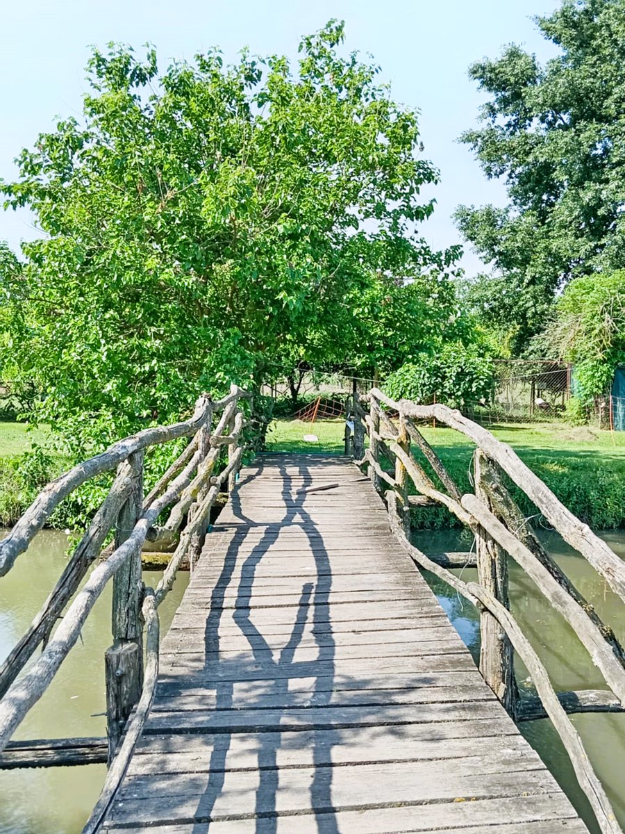 GuberinicSlavko's tweet image. Mostić je tu, kafica je tu, ja sam već prešao na ti sa tišinom🌳
Dobro jutro☕️🥃🌞