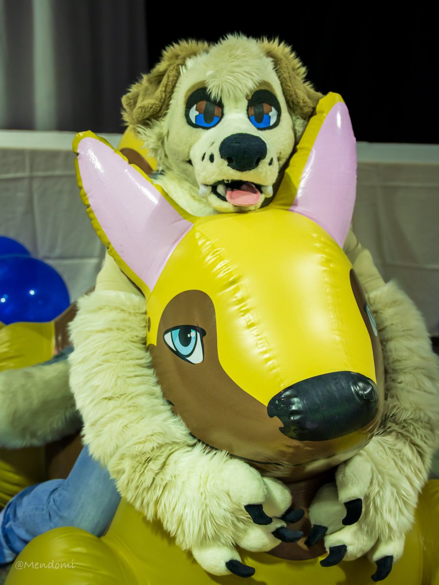 Doggo on the doggo 

#furryfandom #fursuit #furries #fursuitpics #fursuiter #fursuiting #stratosfur2025 #furryconvention #FursuitSaturday