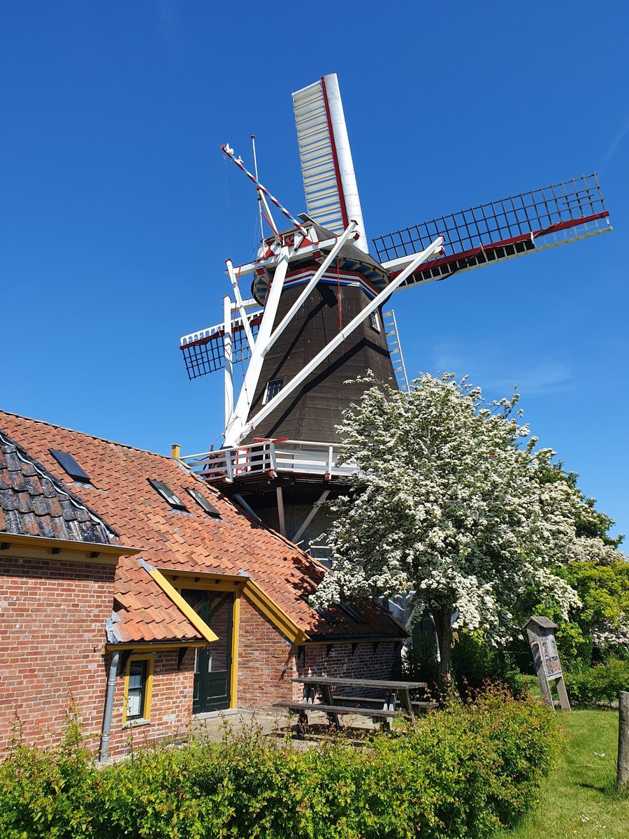 Mirjam Aalfs tweet media