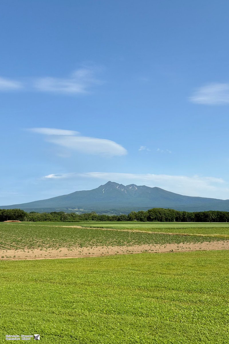今日の斜里岳さん🧸⛰️✨