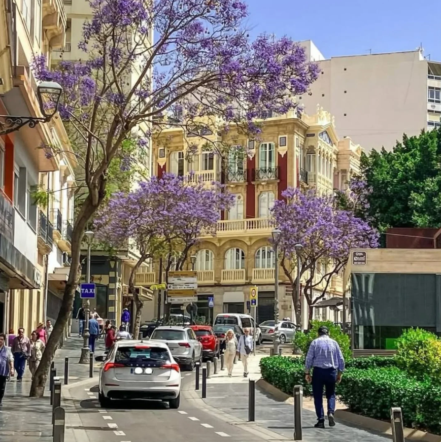 #Repost <a href="/almeriaciudad/">Almería_Provincia</a>
𝙰𝙻𝙼𝙴𝚁𝙸𝙰 𝐂𝐞𝐧𝐭𝐫𝐨 𝐜𝐢𝐮𝐝𝐚𝐝 <a href="/minamarm/">Minamar Moga</a> Plaza José Fernández Torres “Tomatito” #Almeria #almerimagen #calledelastiendas #centrociudad #almeriacentro #refugios #plazas #calles #Almería #andalucia #españa #costadeAlmeria #almeriaciudad