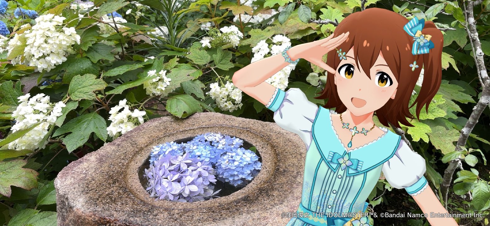 透里あめ on X: 