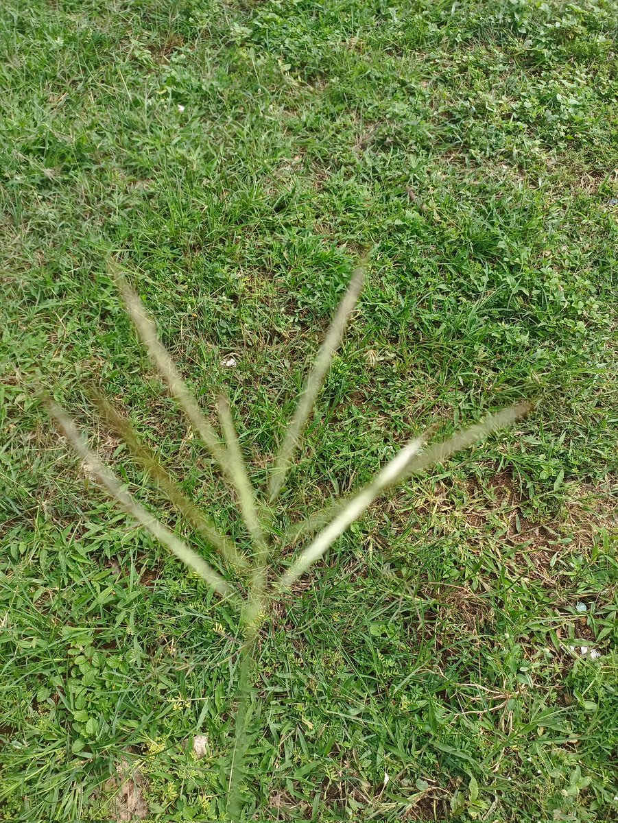 denwrite's tweet image. guess time to disconnect.. #openseatouchgrass