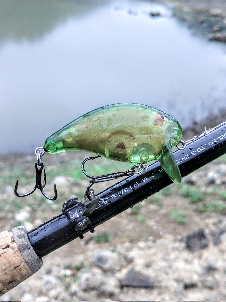 fisherking2000w's tweet image. 一庫ダムにバス釣り
相変わらず釣れない一庫ダム💧
何を投げても反応がなかったがウェイクベイトに出た!23cmのバスとナマズでしたが😅
結構な確率で魚を寄せてくれるバンディットルアーズのフットルース。カラーは自分でウォーターメロンぽい色に塗り替えてます。