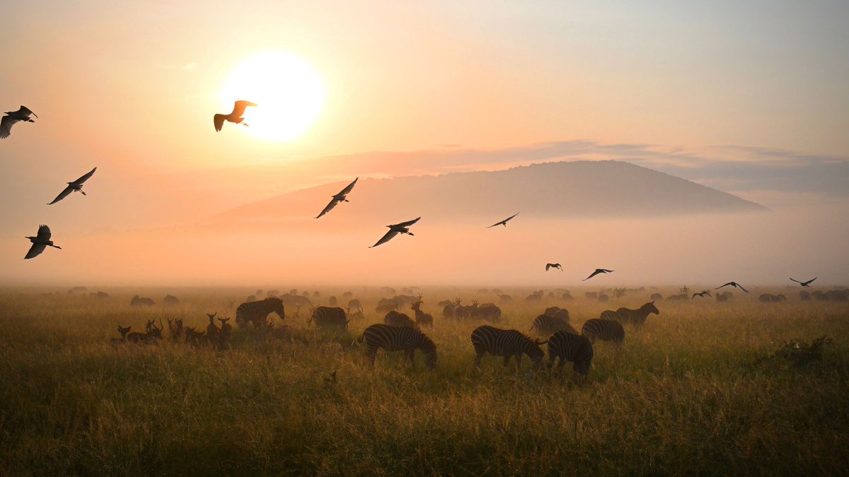 A wonderful sunrise over Kilala plain in the North of Akagera National Park. 
#Akagera #sunrise #VisitRwanda #Africa

Photo: Drew Bantlin