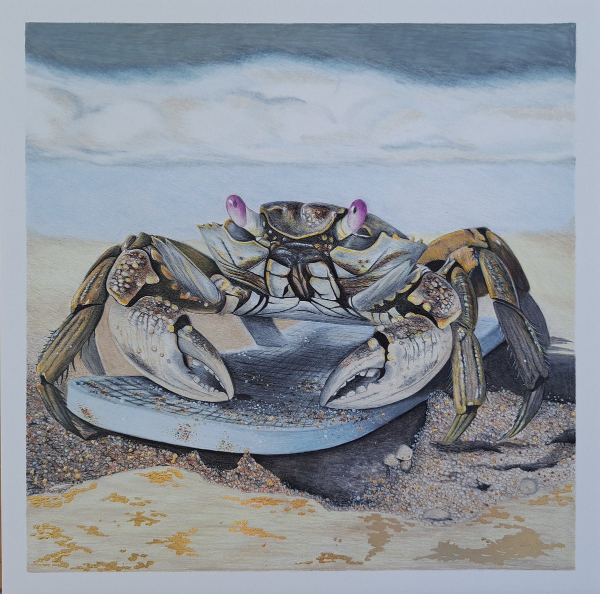 I've been working on an ocean crab collection recently. Enjoying the process. No expectations, no stress. Just having fun.
