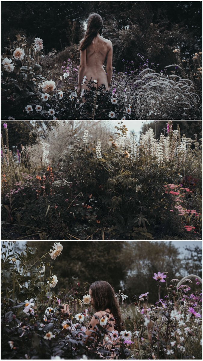Garden of Eden I - III

No. I in the collection of <a href="/zancan/">zancan 🌿</a>
No. III in the collection of <a href="/TocoDeco/">Toco Deco</a> (avail. on secondary for 1E)
No. II available on primary for lovers of non-figurative work 🌺