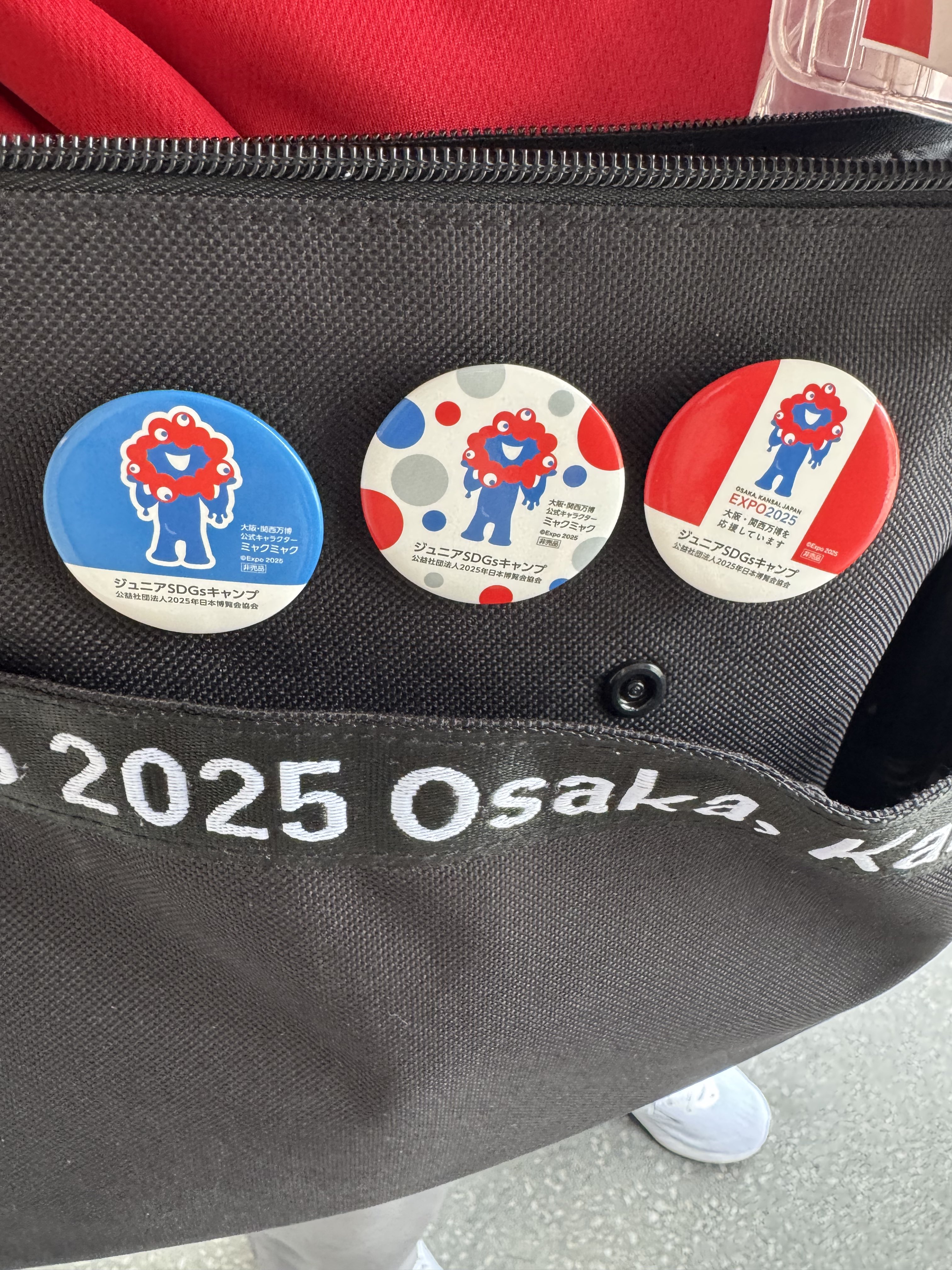 万博 ジュニアキャンプsdgs 非売品 缶バッジコンプリート 万博