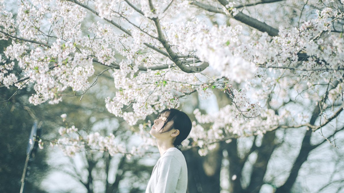 ひなた (@ph_hinata) on Twitter photo 