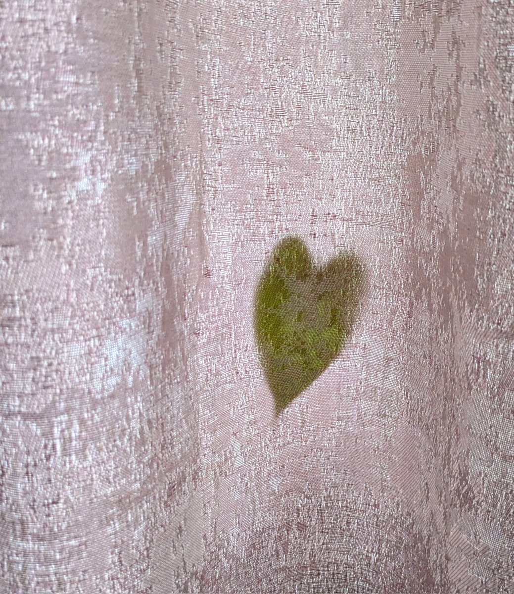 This house plant leaf was shining through my curtains this morning &amp; it was shaped like a heart. It reminded me to say #thankyou to everyone that has congratulated me &amp; sent heartfelt sentiments since I was awarded #RCNScot 'Nurse of the Year' on Thursday. Keep the ♥️ in nursing!