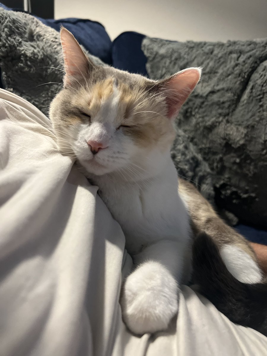 A pic I texted my mom earlier do u like it