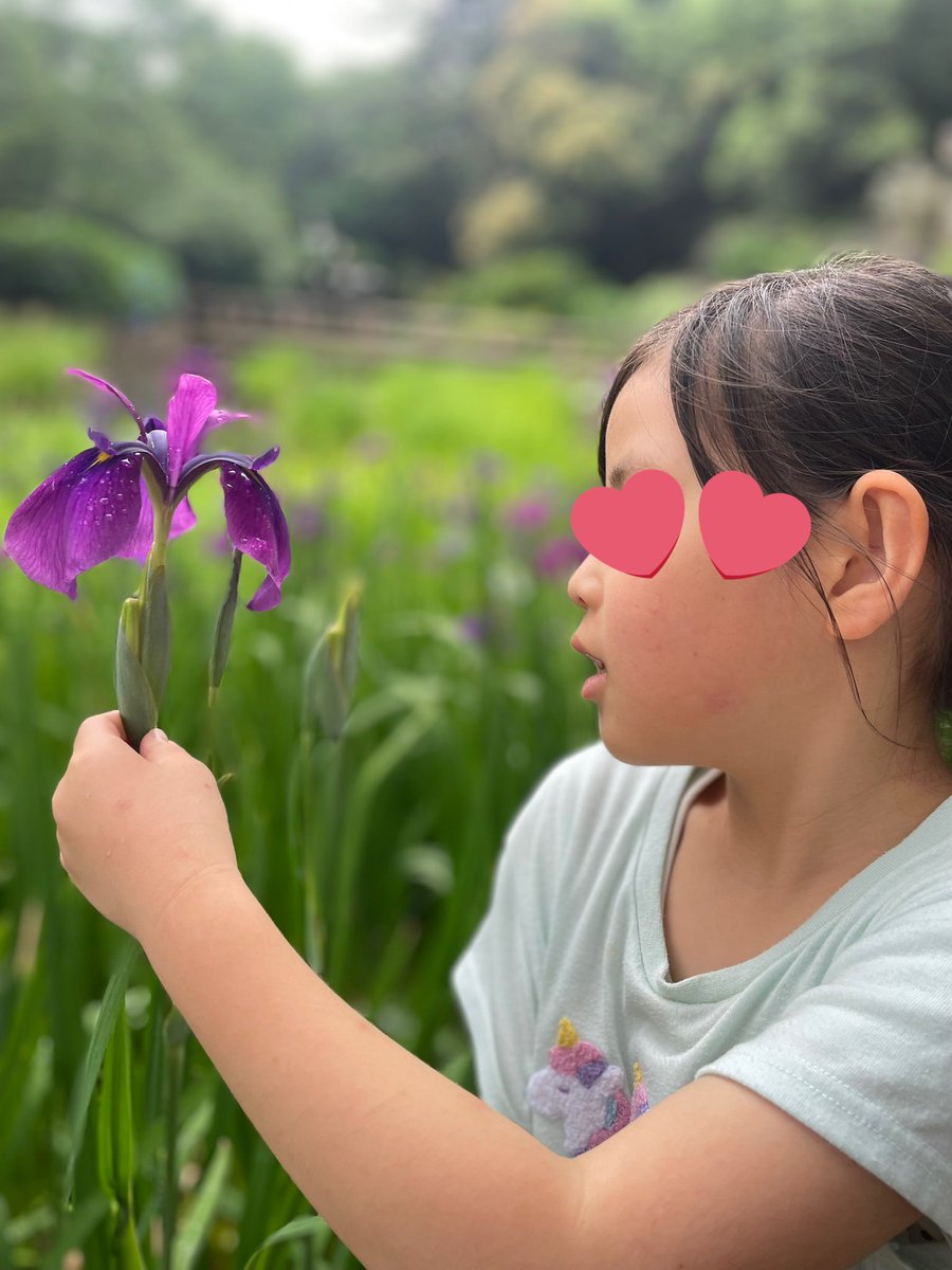 n_m_l_k_tommy's tweet image. 出雲大社の鯉の池
菖蒲がきれいに咲いてた♡

#出雲大社