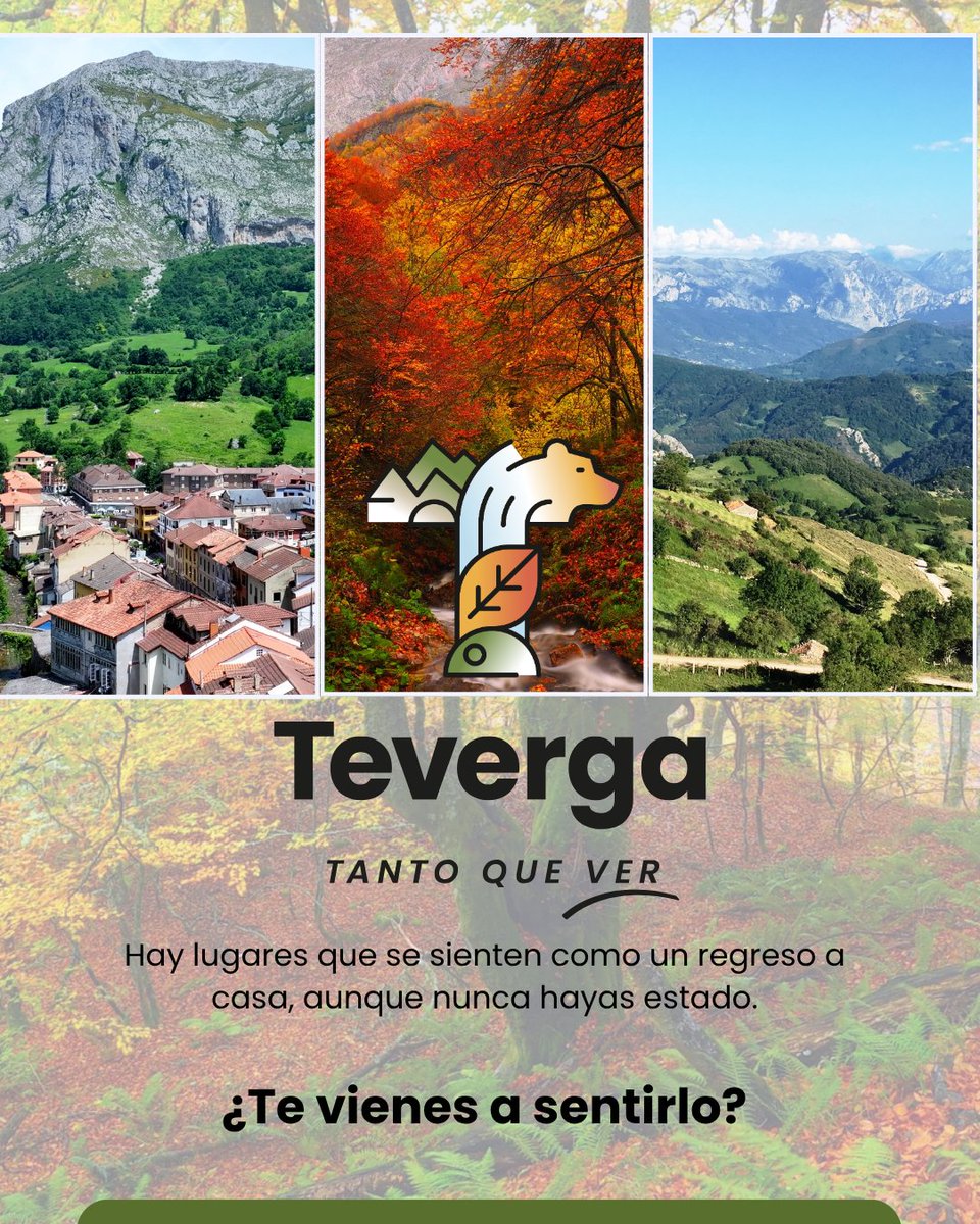 🌄 Donde las montañas susurran historias antiguas y los senderos como la Senda del Oso 
🎨 Donde el arte rupestre revive en el Parque de la Prehistoria y los paisajes 
🌿 Donde cada paso te conecta con lo esencial: naturaleza, calma y raíces.

En Asturias.
Tanto que ver.