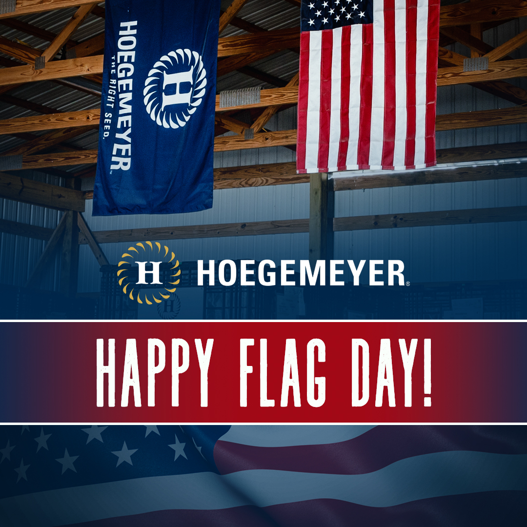 Honoring the symbol that unites us all, Happy Flag Day! 🇺🇸 #FlagDay